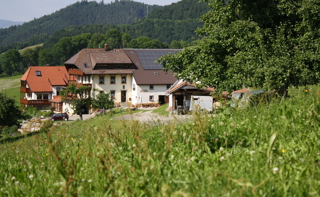 -Maierhof 